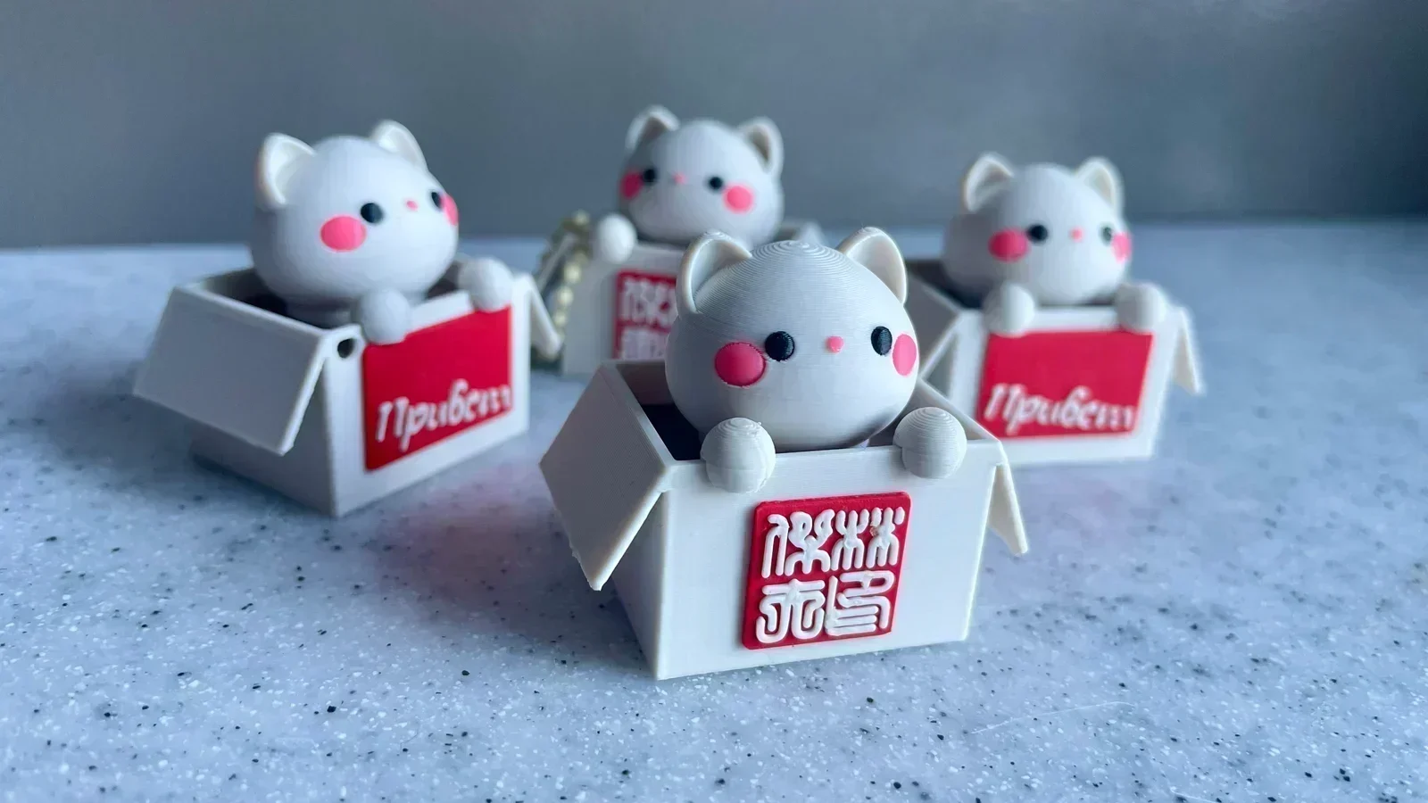 Котик в коробке